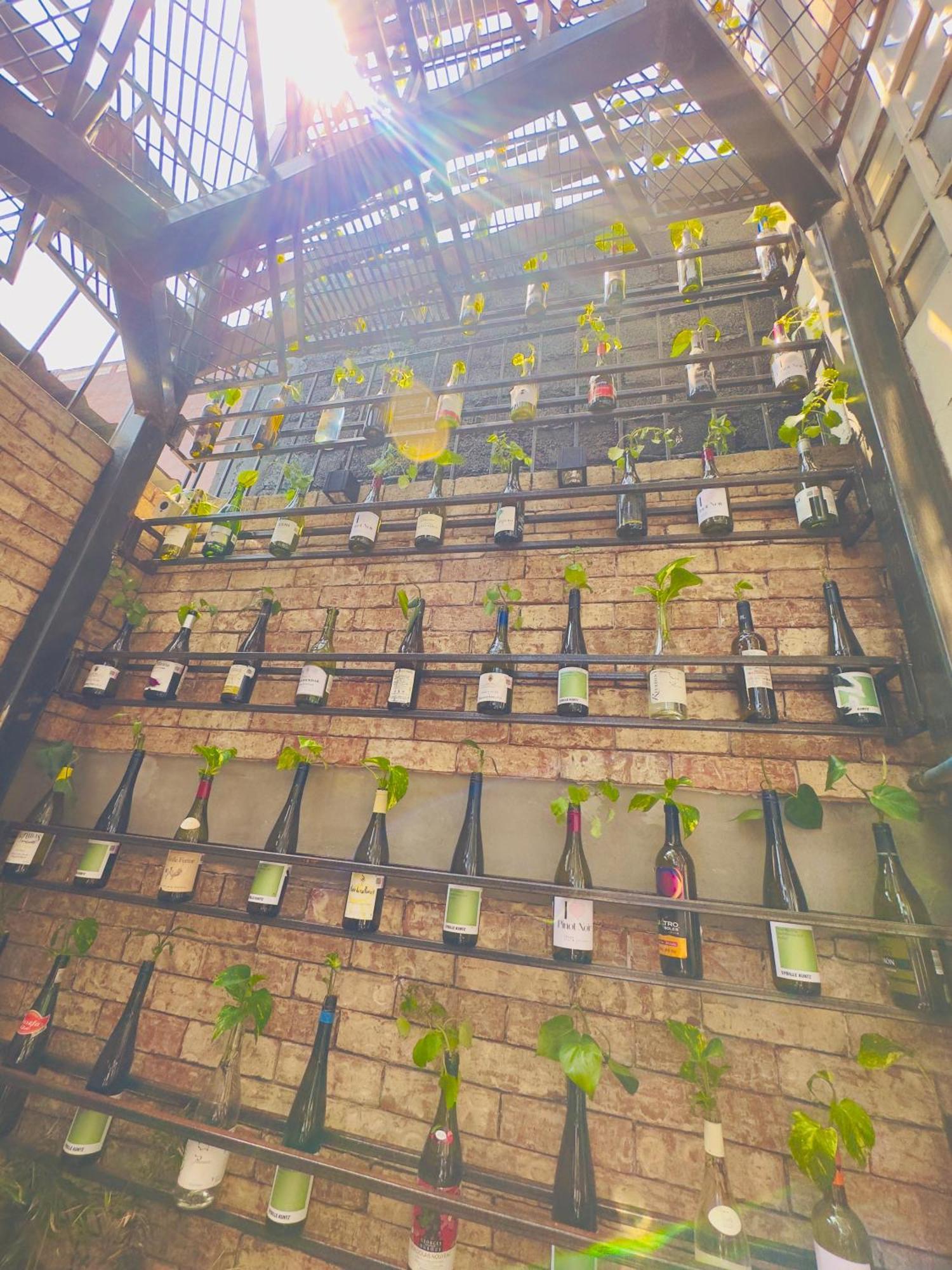Del Lago Lofts Mexico-stad Buitenkant foto